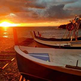 Cinque Terre: Private tour with professional photographer