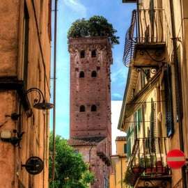 Excursión en tierra desde La Spezia: Pisa, Lucca, almuerzo y degustación de bodegas