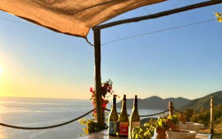 Volastra: BarCa Wine Tasting in Cinque Terre and Pesto Class