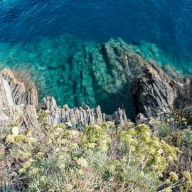 Z La Spezia: Denní výlet lodí do Cinque Terre