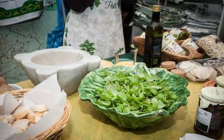 Levanto: Pesto-Making Class