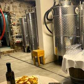 Cinque Terre: proeverij in de kelder met bezoek aan wijngaarden