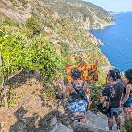 Riomaggiore: wycieczka do winnicy i piwnicy z degustacją wina