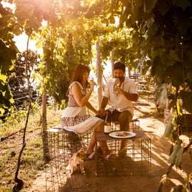 Randonnée avec Gaia de Corniglia à Manarola, accompagnée d'une dégustation dans le vignoble.