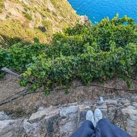Riomaggiore: wycieczka do winnicy i piwnicy z degustacją wina