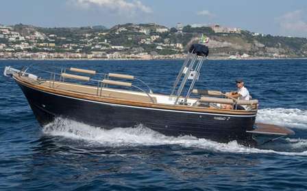 Private tour of the Gulf of Poets: swimming stop, aperitif and drinks