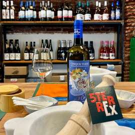 Cinque Terre : dégustation de vin avec en-cas locaux