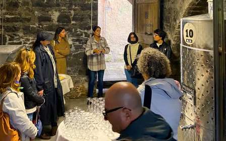 Cinque Terre: tasting in the cellar with visit to vineyards