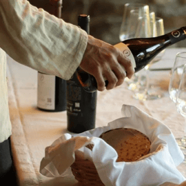 Tour della cantina e degustazione nella Toscana settentrionale
