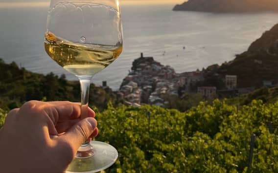Vernazza: panorámás túra a szőlőültetvények között borkóstolóval