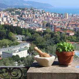 La Spezia: Ligurian wine tasting and authentic pesto class