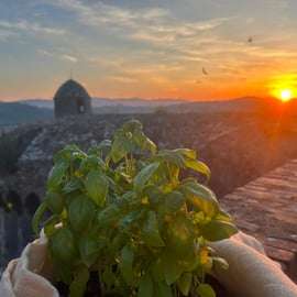 Buio Pesto Experience – Festung von Sarzanello