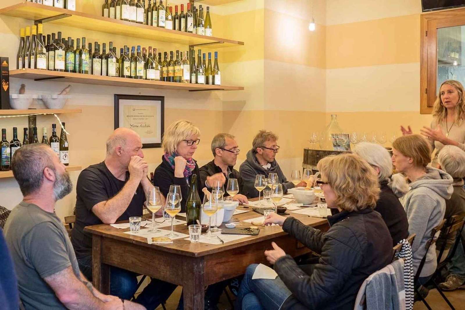 Cinque Terre-Manarola: Wine Experience and Tour in Vineyard