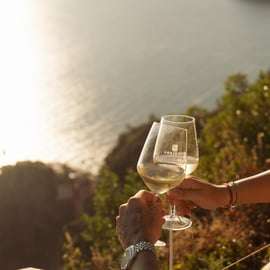Cinque Terre: Panoramic Walk with Wine Tasting and Light Lunch