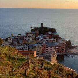 Vernazza (5 Terre): olive grove tour and oil and wine tasting