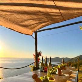 Volastra : Dégustation de vin BarCa dans les Cinque Terre et cours de pesto